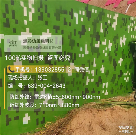 怀化星空迷彩漆，夏令营训练,数码迷彩作训墙,围墙